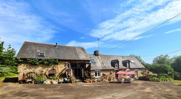 Maison à vendre à Louvigné-du-Désert (35420) - Ille-et-Vilaine