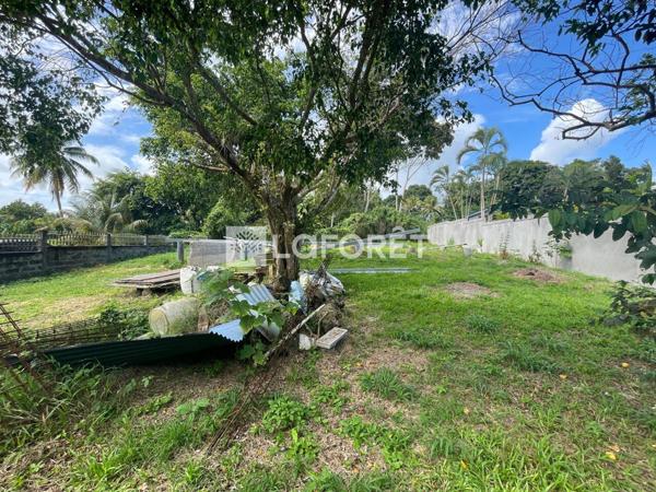 Achat terrain Lamentin - 1 pièce(s) - 550 m² - 172 700 €