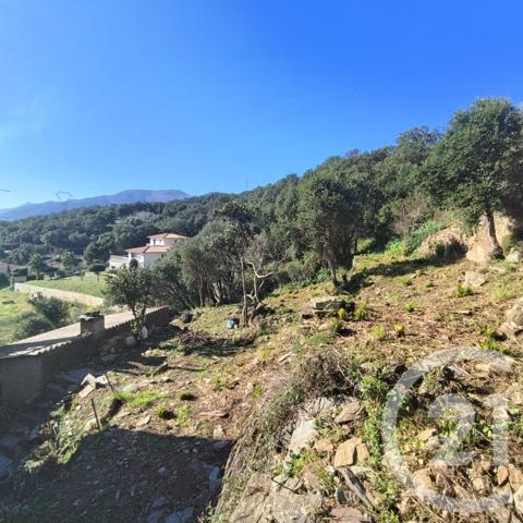 Maison à vendre  5 pièces - 132,60 m2 BASTIA - 202