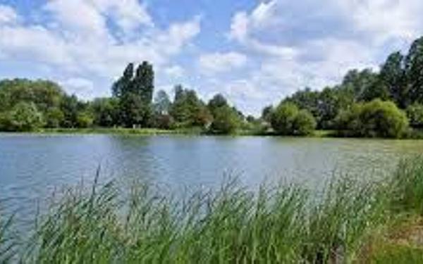 Terrain à vendre    Monnaie