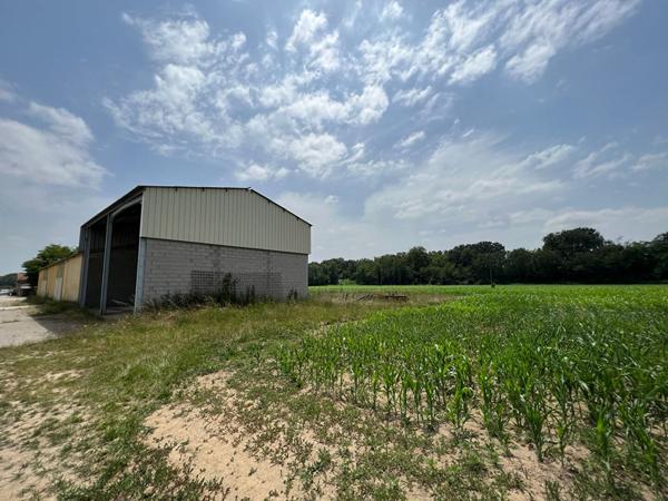 Entrepôt de 400m² et terres agricoles sur la commune de Bessières