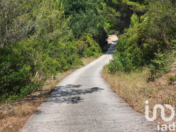 Terrain à vendre 6 180 m² Bandol
