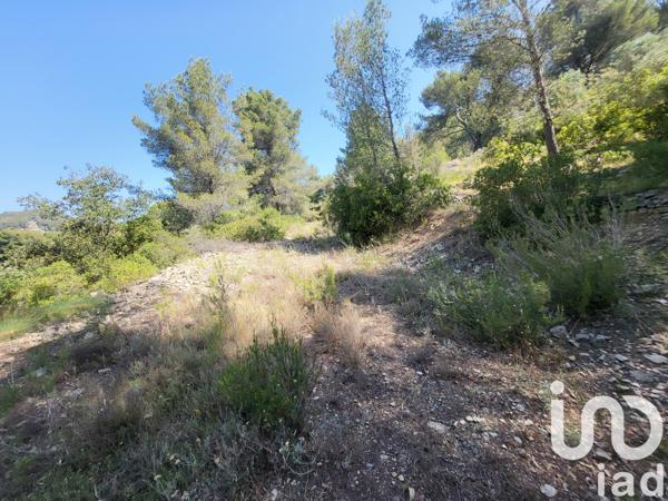 Terrain à vendre 6 180 m² Bandol