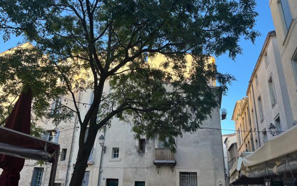 Appartement à vendre    1 pièce • 30,01 m2 Montpellier