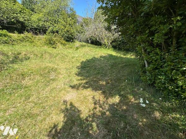 A VENDRE terrain non viabilisé EQUEURDREVILLE-HAINNEVILLE