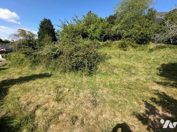 A VENDRE terrain non viabilisé EQUEURDREVILLE-HAINNEVILLE