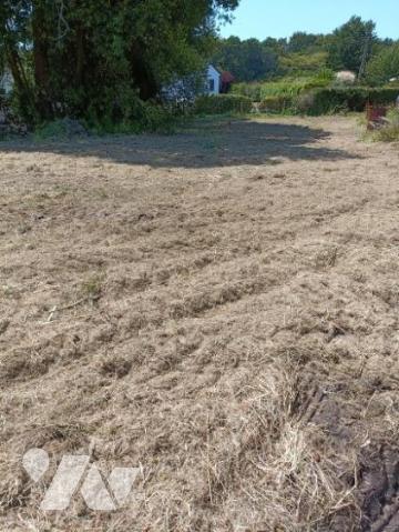 1018- MONTSENELLE, terrains à bâtir lot 1: 706m² et lot 2: 609m²