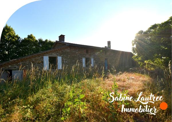 Albi (81000) Maison en pierre avec vue imprenable – 20 min d’Albi / 15 min de Réalmont – Terrain de 8000 m²