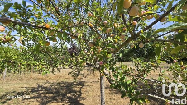 Maison à vendre 10 pièces 295 m² Saint-Georges-de-Poisieux