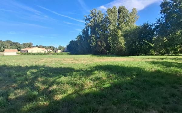 Terrain à vendre    Finhan