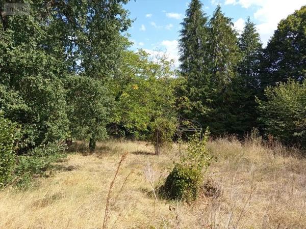 Achat - Maison La Croix-en-Touraine 37150 5 pièces 130 m 2 1396 m 2