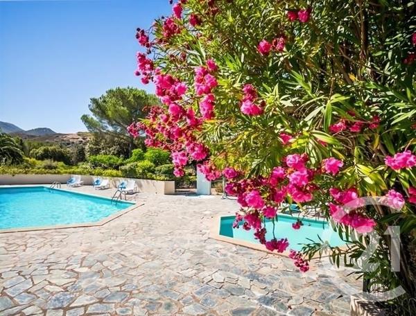 Maison à vendre  5 pièces - 93,21 m2 OLETTA - 202