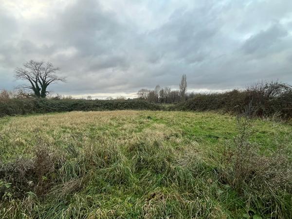 ENTREPOT - 527m² - ARQUES