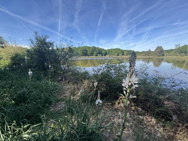 Etang à PRISSAC (36370)