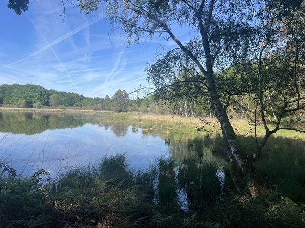 Etang à PRISSAC (36370)