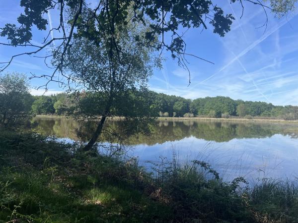Etang à PRISSAC (36370)
