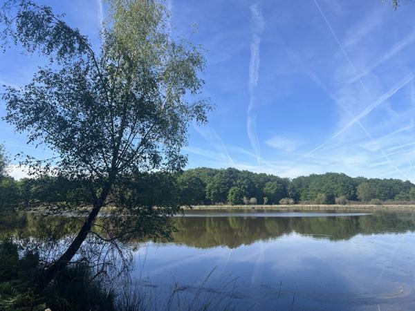 Etang à PRISSAC (36370)