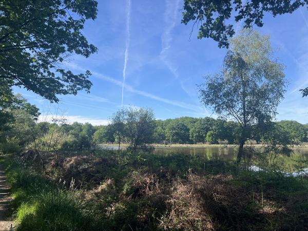 Etang à PRISSAC (36370)
