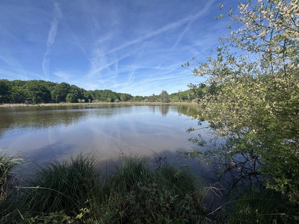 Etang à PRISSAC (36370)