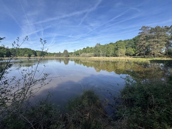 Etang à PRISSAC (36370)