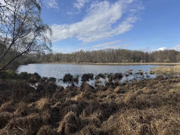 Etang à PRISSAC (36370)
