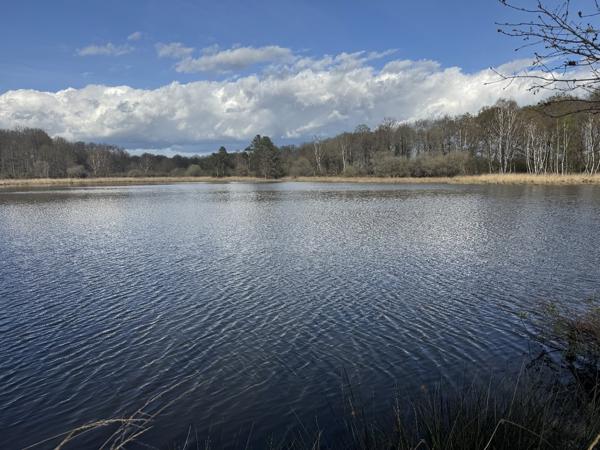 Etang à PRISSAC (36370)