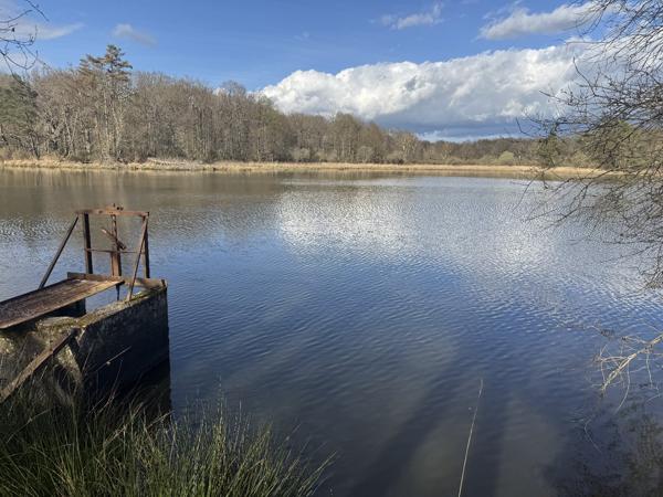 Etang à PRISSAC (36370)