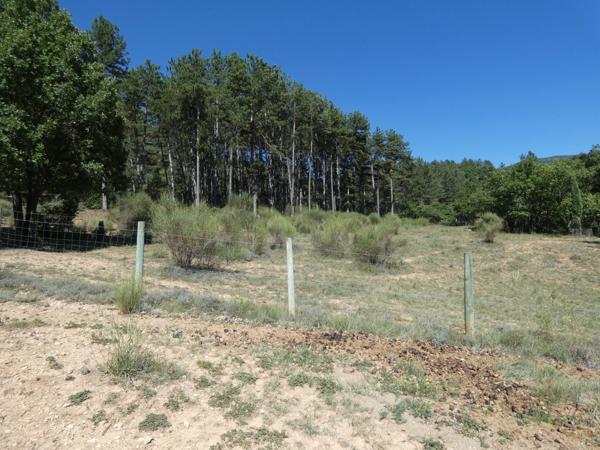 VOLONNE – PROPRIÉTÉ D’EXCEPTION 3,5 HA – 3 HABITATIONS – PISCINE CHAUFFÉE – VUE MONTAGNES