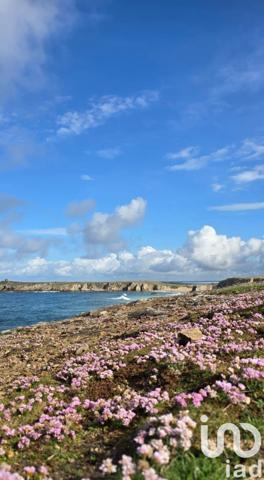 Maison 4 pièces de 60 m² à Saint-Pierre-Quiberon (56510)