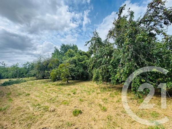 Terrain à vendre  947 m 2   NANGIS  - 77