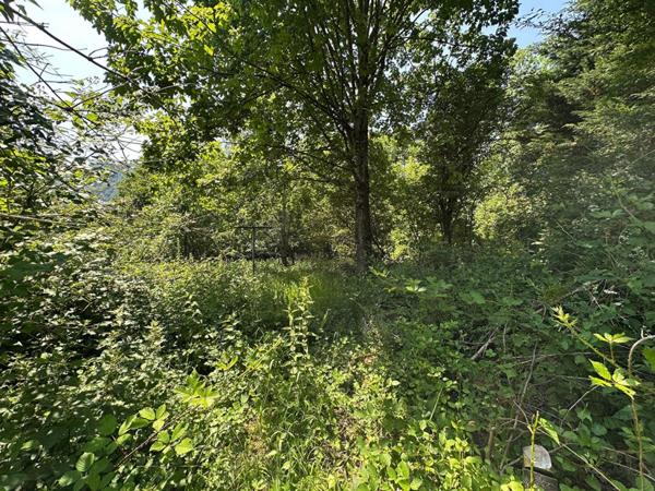 Terrain au calme, Kruth, 68820, surface 2179 m2