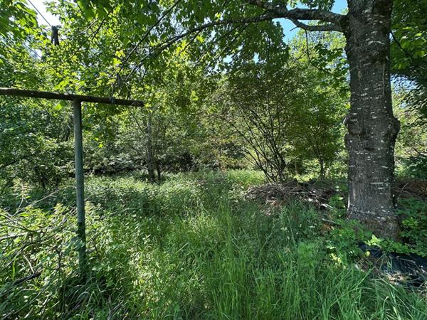 Terrain au calme, Kruth, 68820, surface 2179 m2