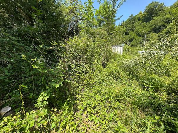 Terrain au calme, Kruth, 68820, surface 2179 m2