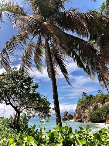 Très beau Studio avec coin nuit et mezzanine, sans travaux, au calme et près de la plage