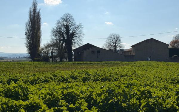 Maison à vendre    5 pièces •  Montoison