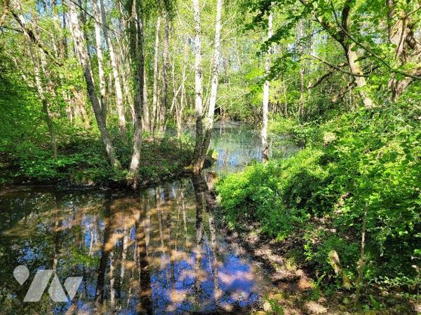 MAISON ANCIENNE CADRE BUCOLIQUE