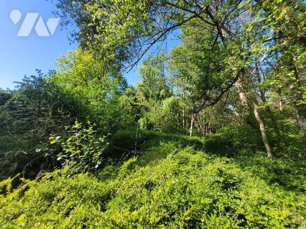 MAISON ANCIENNE CADRE BUCOLIQUE