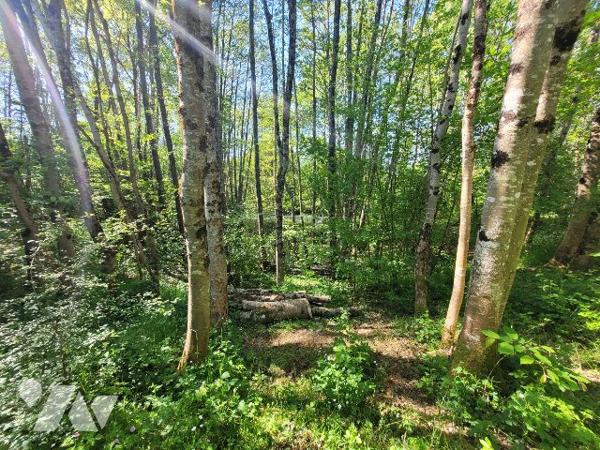 MAISON ANCIENNE CADRE BUCOLIQUE