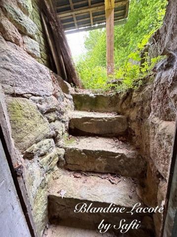 Maison à rénover avec jardin attenant