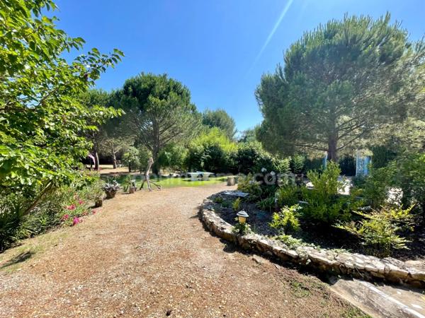 Mas d’Exception au Cœur de la Camargue – Chambres d’Hôtes & Salle de Réception