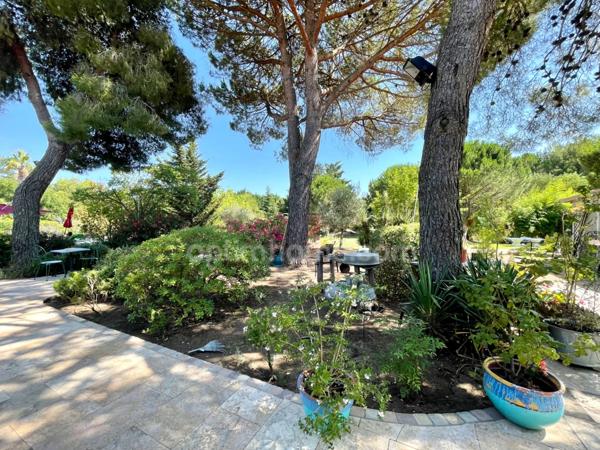 Mas d’Exception au Cœur de la Camargue – Chambres d’Hôtes & Salle de Réception