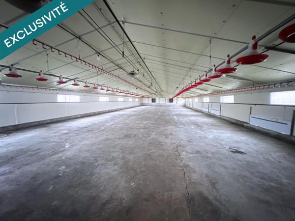 Stockage pro – 1 850 m² couverts