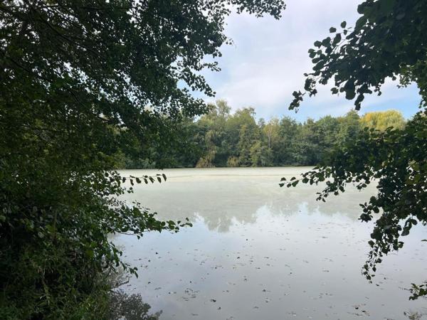 Magnifique plan d'eau à côté de l'Yonne!