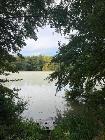 Magnifique plan d'eau à côté de l'Yonne!