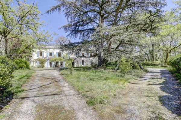 Vente Maison de maître Castres 7 Pièces 355 m²