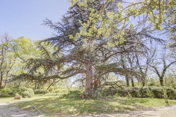 Vente Maison de maître Castres 7 Pièces 355 m²