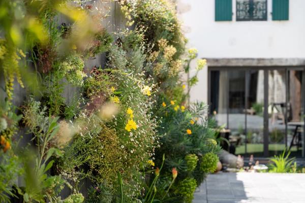 Vente Maison de luxe Sainte-Marie-de-Ré 10 Pièces 302 m²