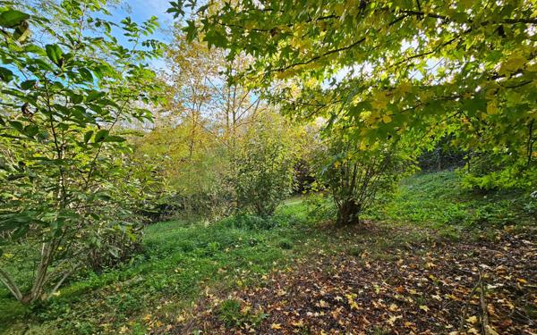 Terrain à vendre    Urcuit