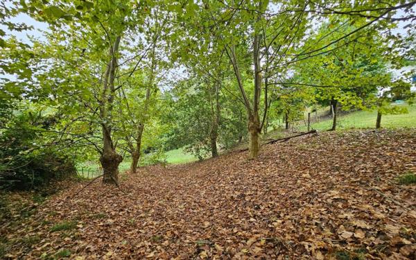 Terrain à vendre    Urcuit