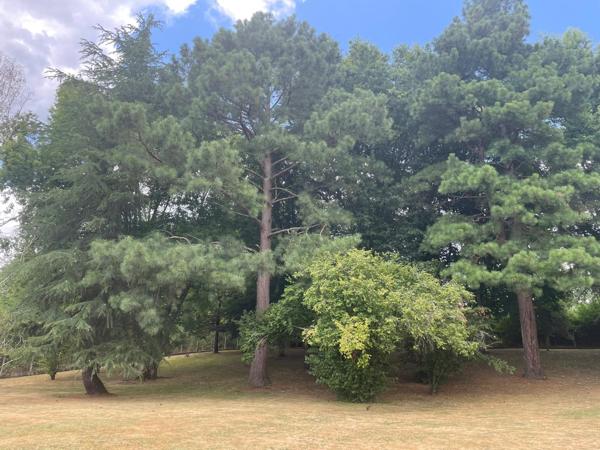 Vaste maison familiale, environnement verdoyant